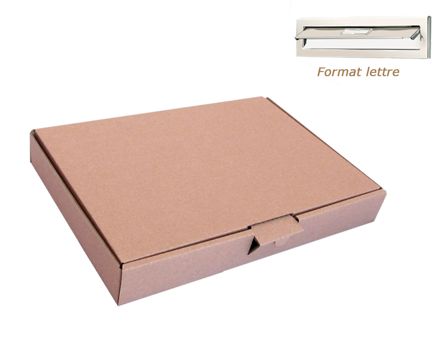 Lot de 50 Boîtes Pochettes Carton L - hauteur 3cm - format 254x356